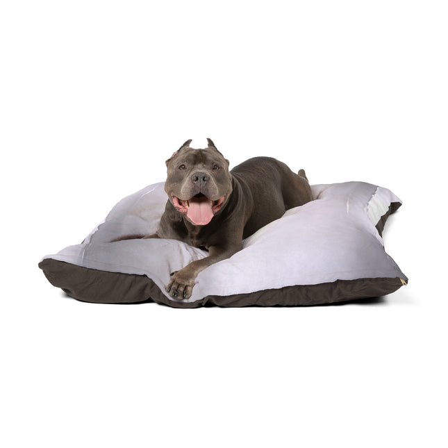 Sephia Sea Dark Fog 50" × 40" Pet Bed