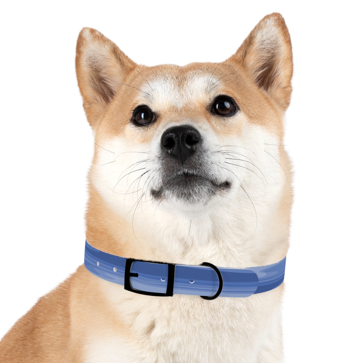 Deep Blue Wavey Medium Dog Collar