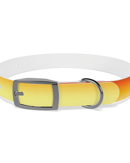 Phoenix Fade Small Dog Collar