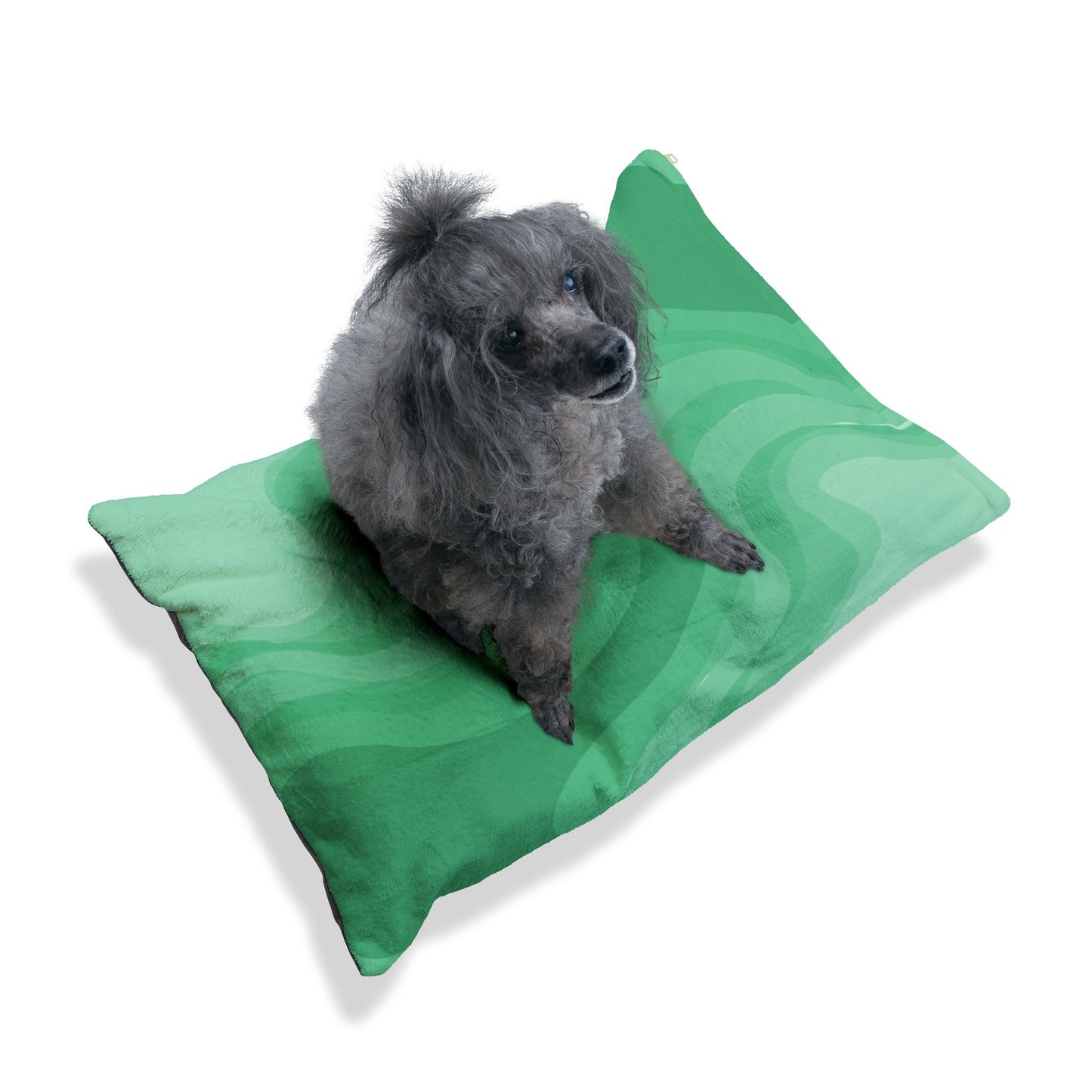 Mint Green Wavey 28" × 18" Pet Bed