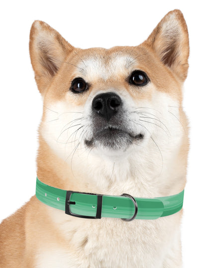 Mint Green Wavey Medium Dog Collar