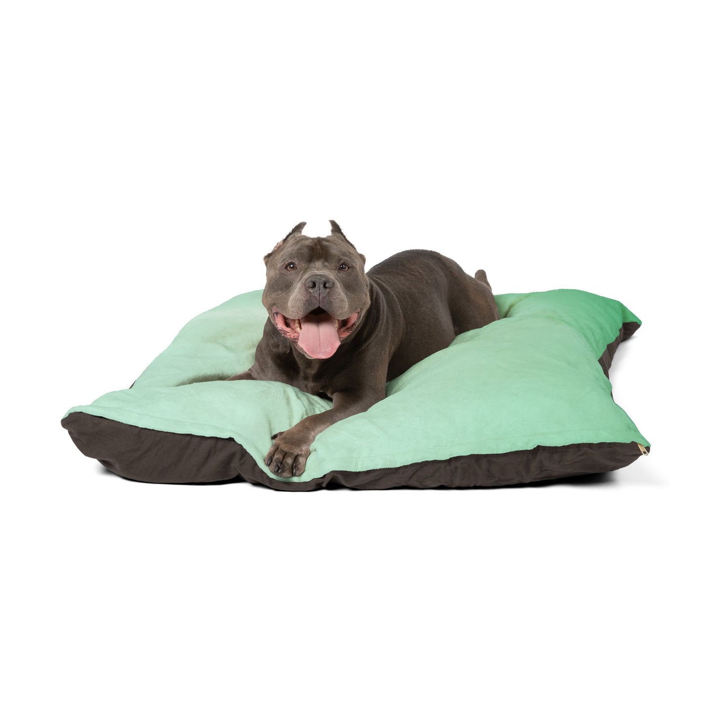 Mint Fade 50" × 40" Pet Bed