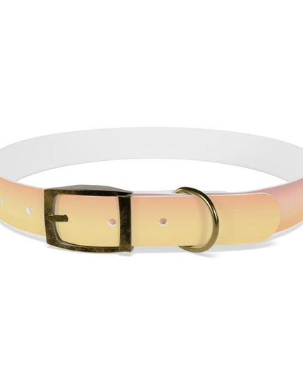 Hot Peach Fade Extra Large Dog Collar