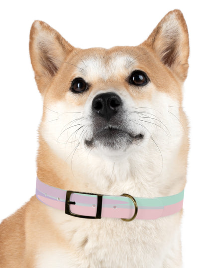 Pastel Peach and Soft Green Patches Extra Large Dog Collar