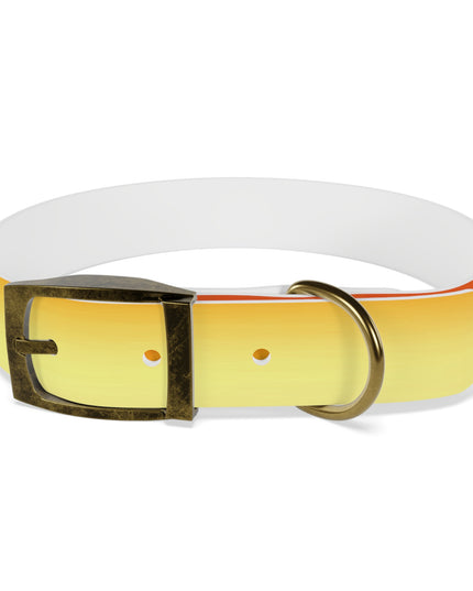 Phoenix Fade Medium Dog Collar