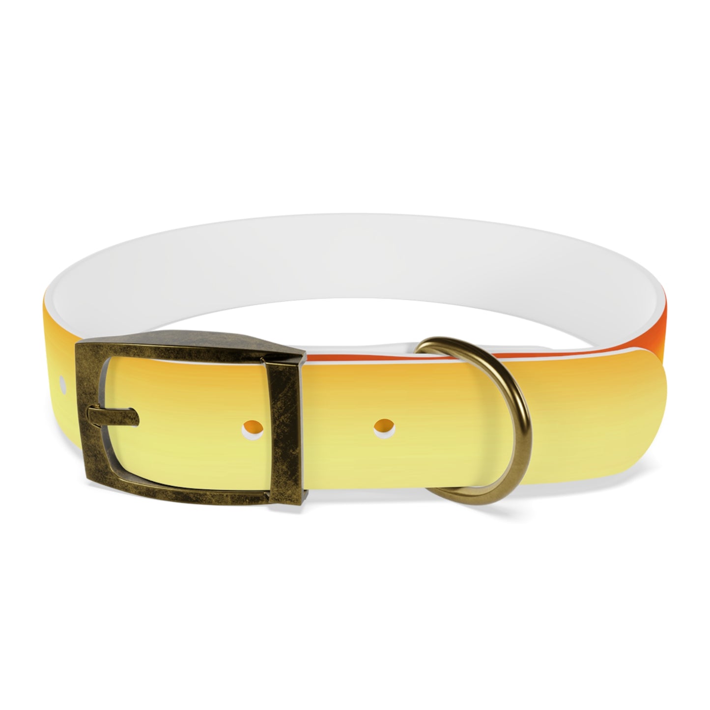 Phoenix Fade Medium Dog Collar