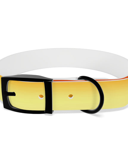 Phoenix Fade Medium Dog Collar
