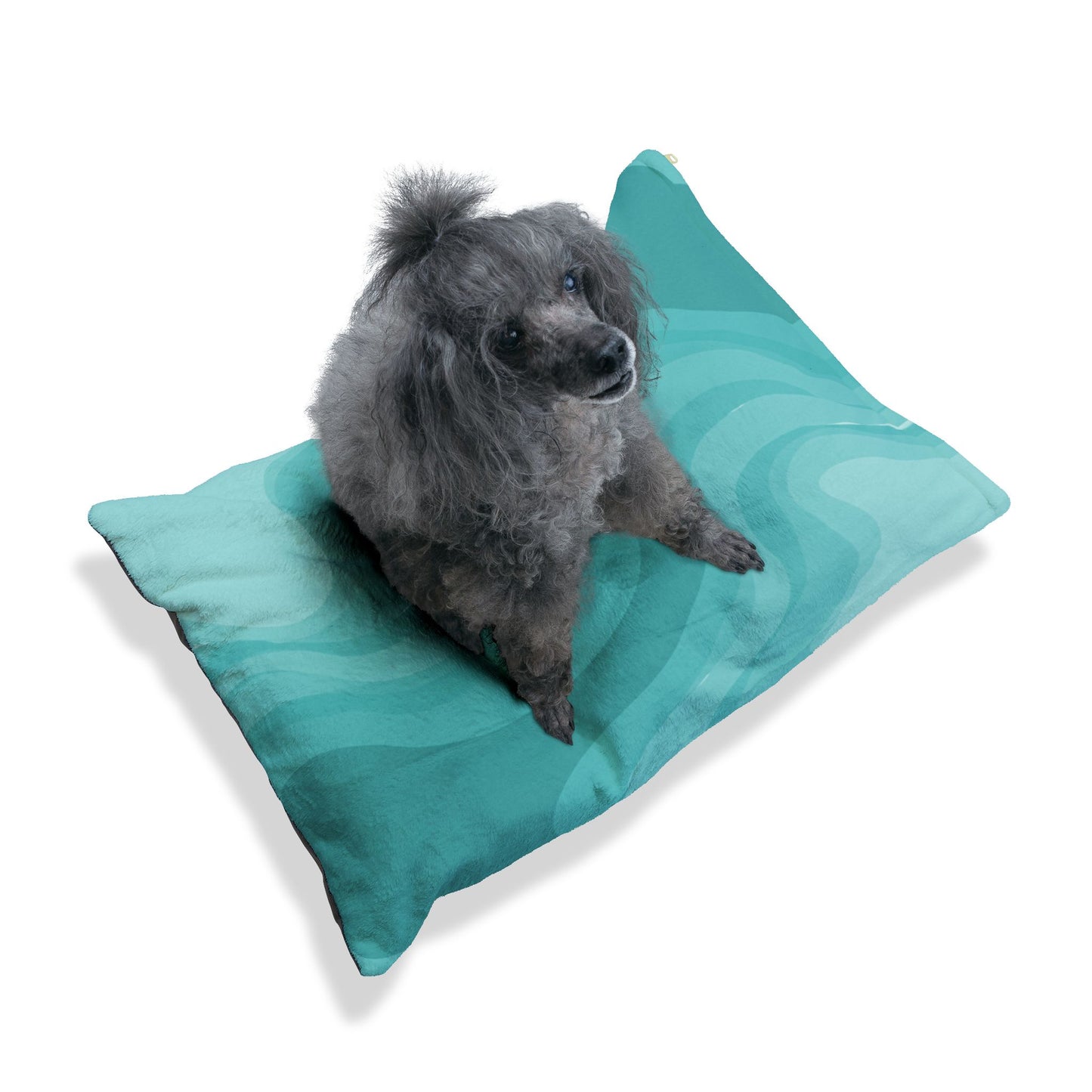 Tif Green Wavey 28" × 18" Pet Bed