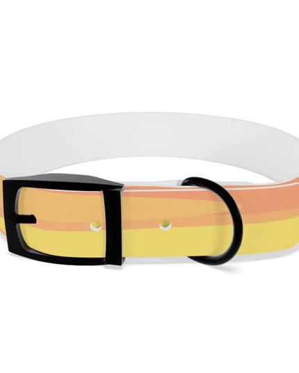 Pastel Bright Oranges Patches Medium Dog Collar