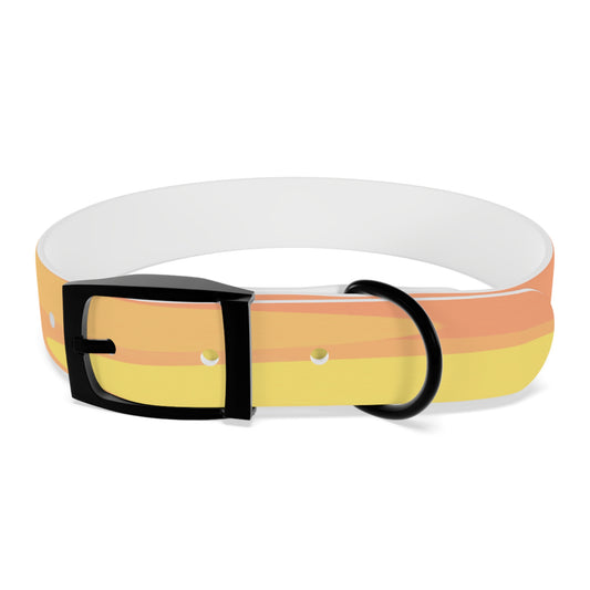 Pastel Bright Oranges Patches Medium Dog Collar