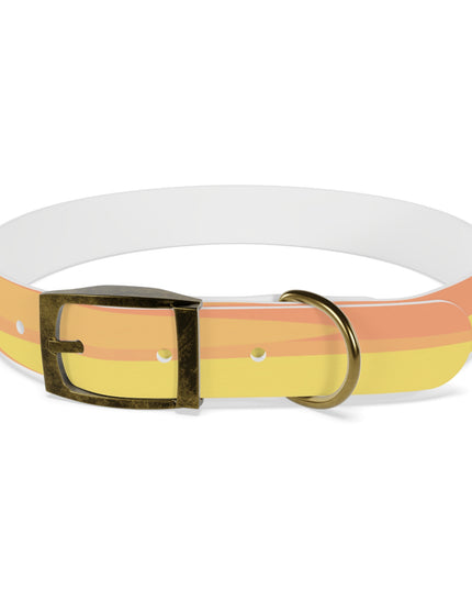 Pastel Bright Oranges Patches Large Dog Collar