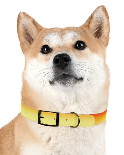 Phoenix Fade Large Dog Collar