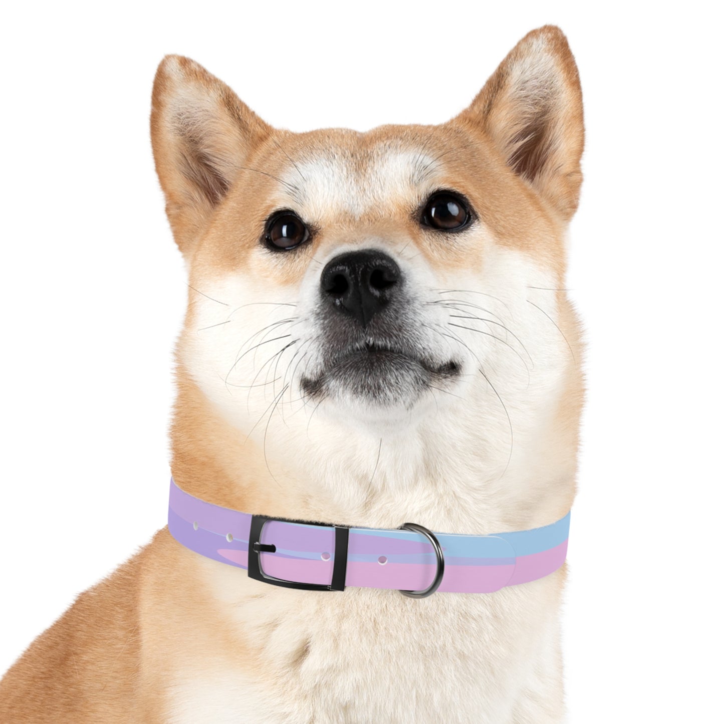Pastel Purple and Mauve Patches Medium Dog Collar