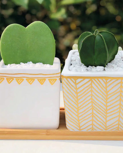 Rhapsody Planters Set of 2