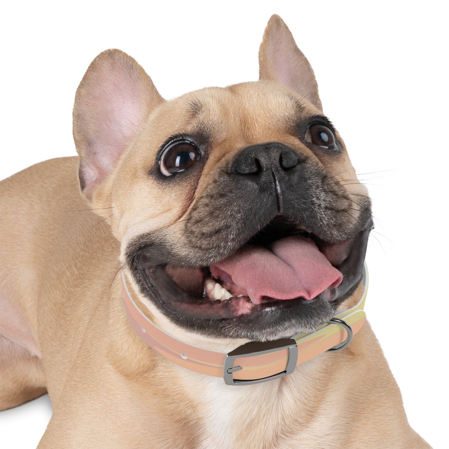 Pastel Hot Peach Patches Small Dog Collar
