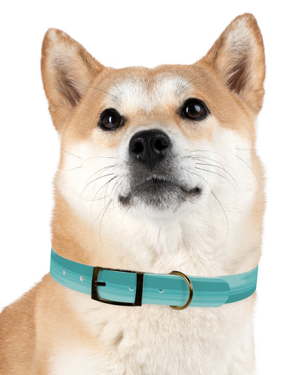 Tif Green Wavey Large Dog Collar