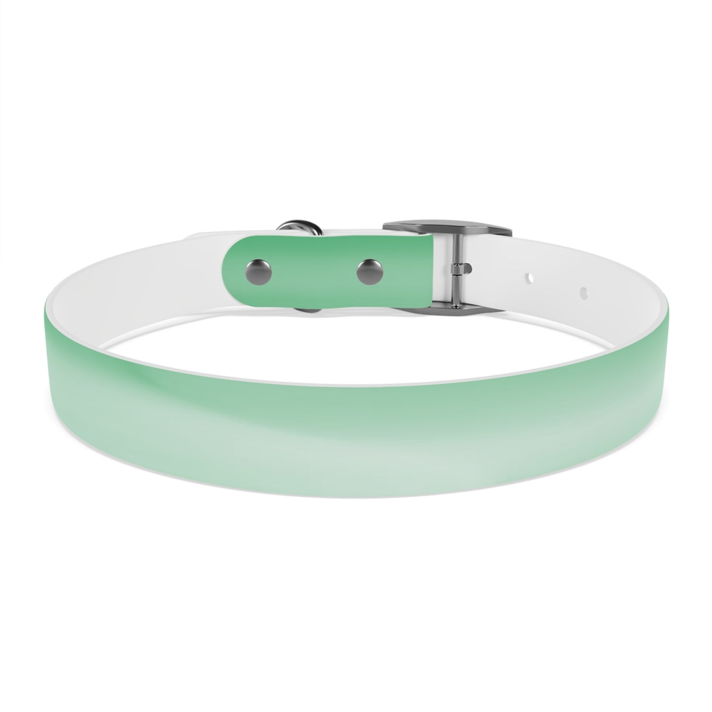 Mint Fade Large Dog Collar