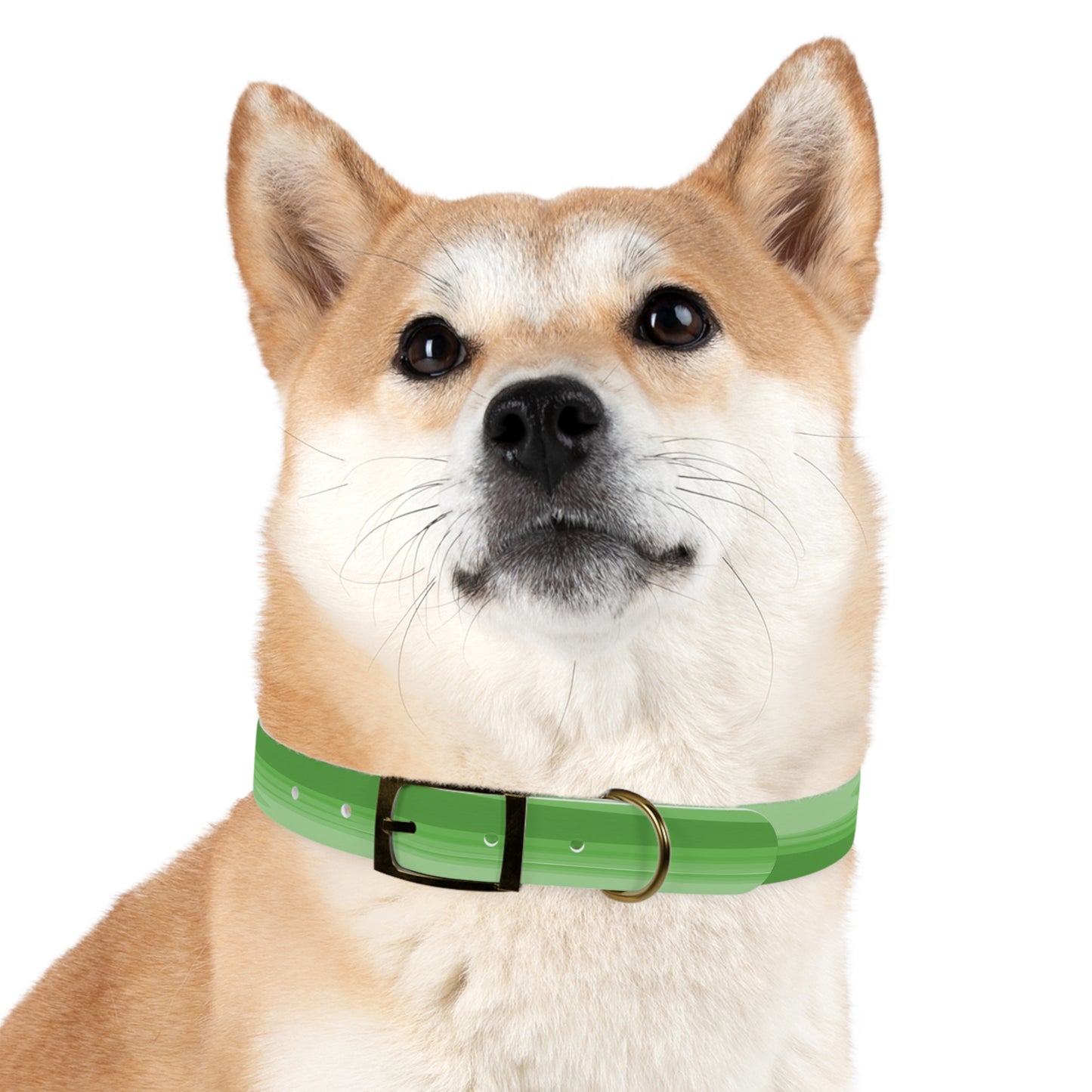 Greenie Meanie Wavey Extra Large Dog Collar