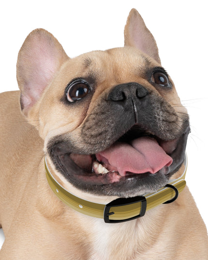 Brown Wavey Small Dog Collar