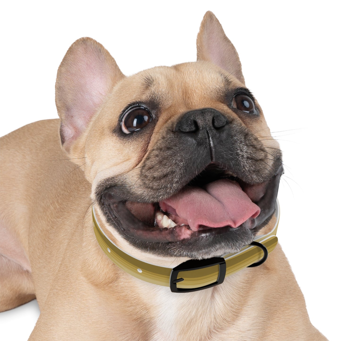 Brown Wavey Small Dog Collar