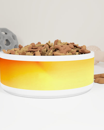 Phoenix Fade 16 oz Pet Bowl