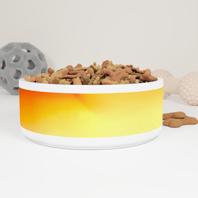Phoenix Fade 16 oz Pet Bowl