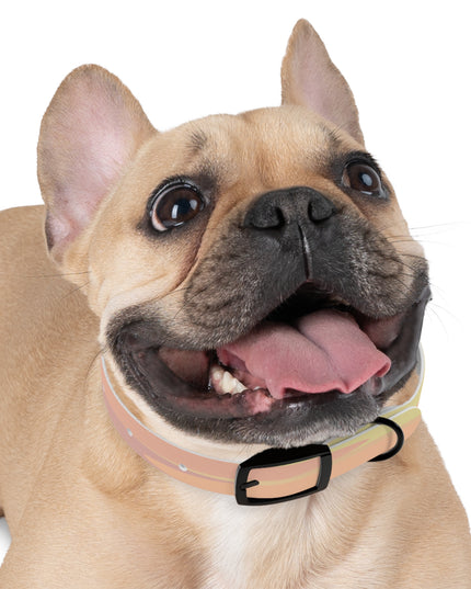 Pastel Hot Peach Patches Small Dog Collar