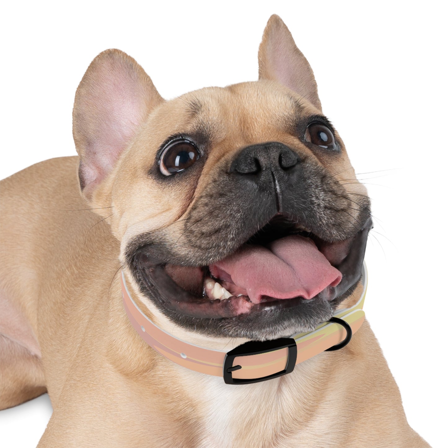 Pastel Hot Peach Patches Small Dog Collar