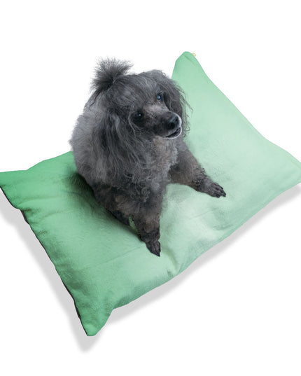 Mint Fade 50" × 40" Pet Bed