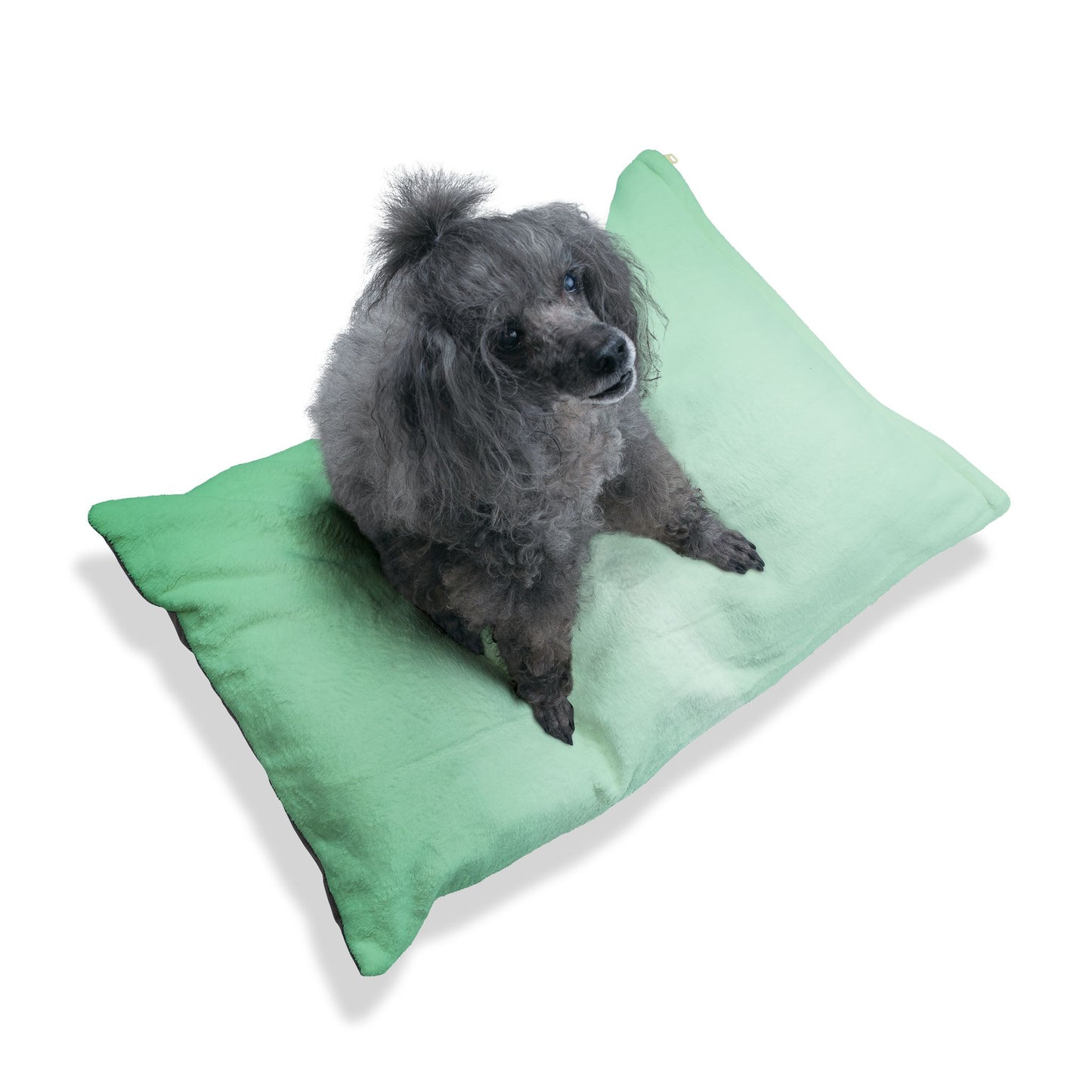 Mint Fade 50" × 40" Pet Bed