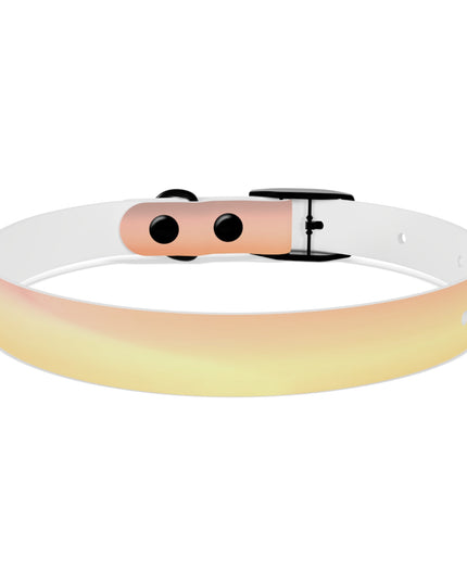 Hot Peach Fade Small Dog Collar
