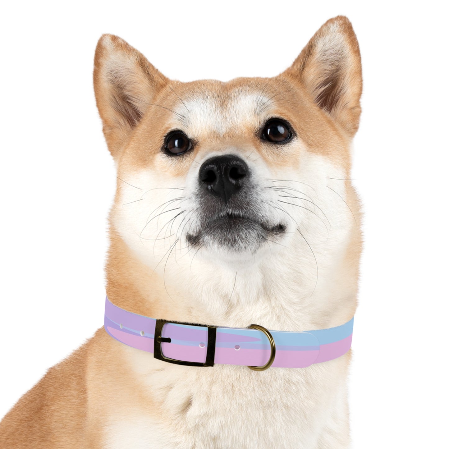 Pastel Purple and Mauve Patches Extra Large Dog Collar