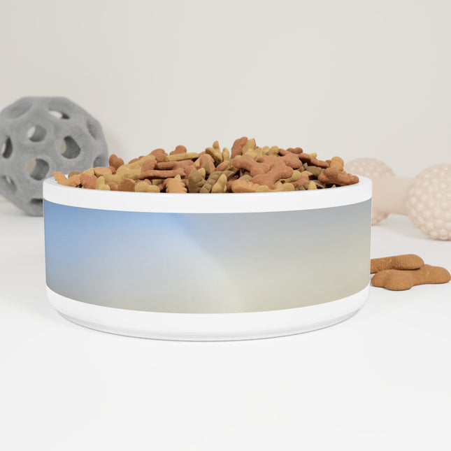Cobalt Fade 16 oz Pet Bowl