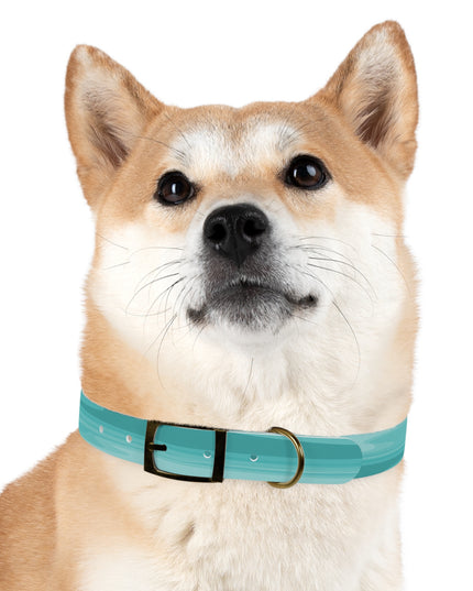 Tif Green Wavey Medium Dog Collar