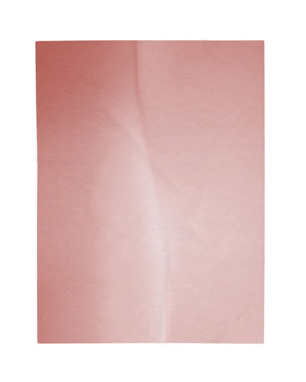 Rose Red Fade Velveteen Plush Blanket, 30" x 40"