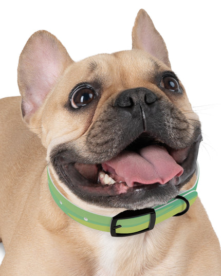 Pastel Green Patches Small Dog Collar