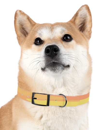 Pastel Bright Oranges Patches Medium Dog Collar
