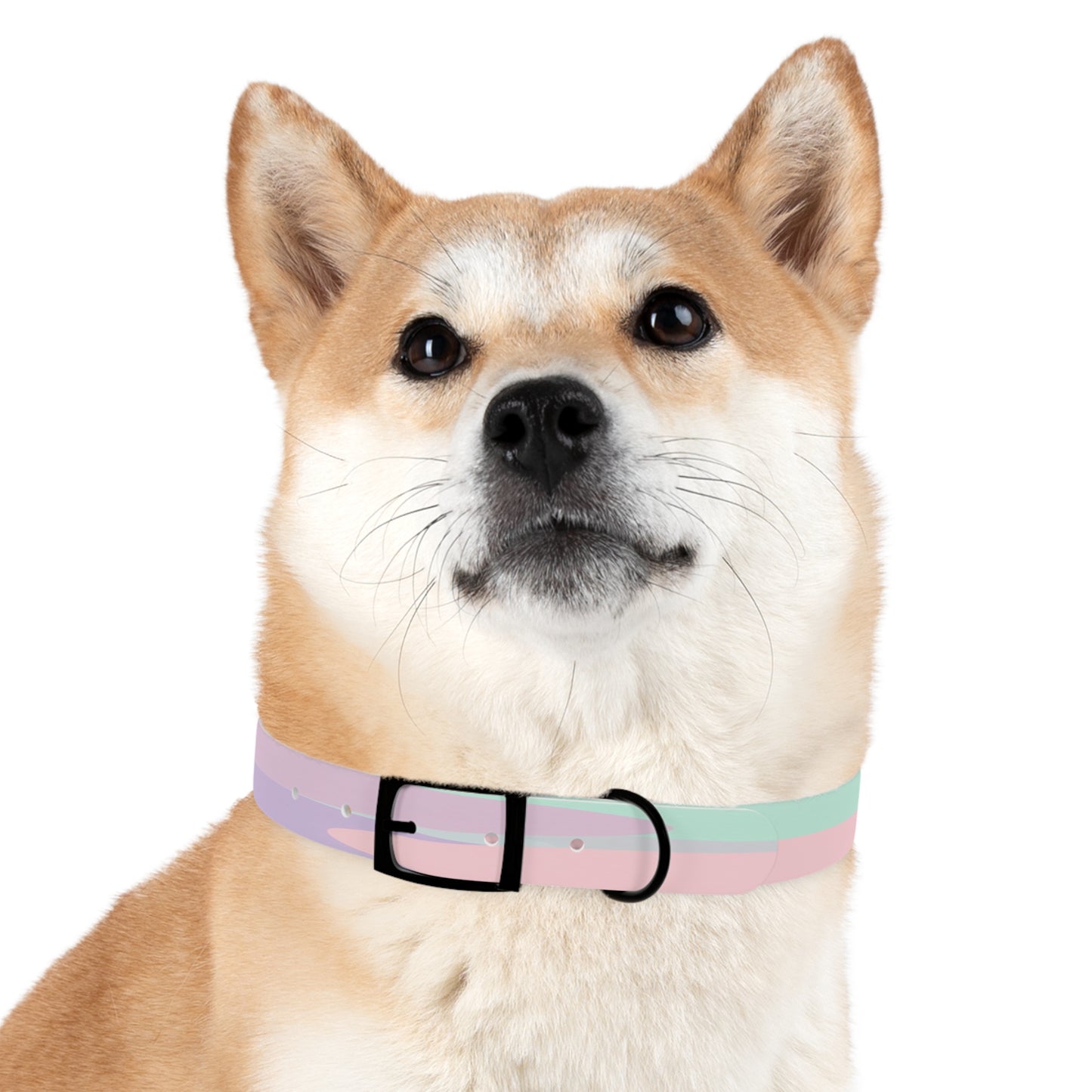 Pastel Peach and Soft Green Patches Medium Dog Collar