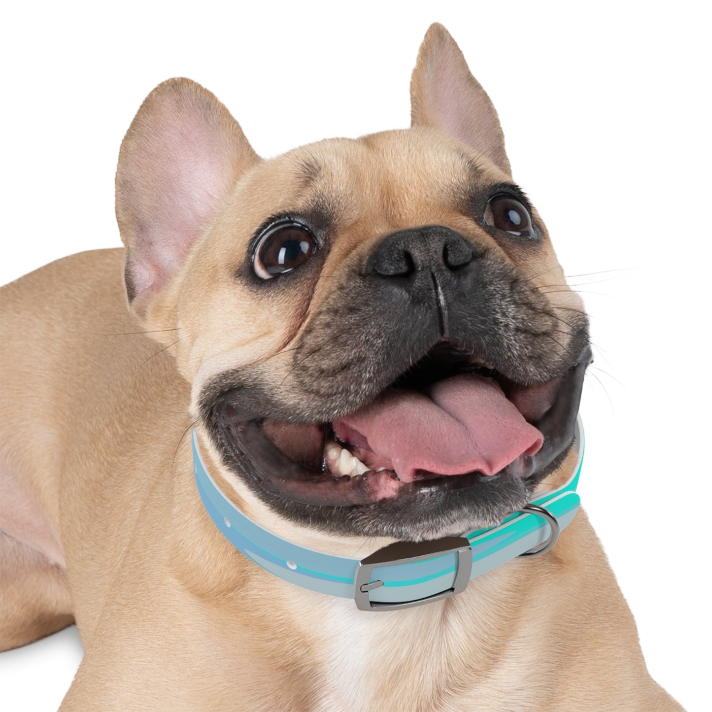 Pastel Tan and Tif Patches Small Dog Collar