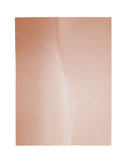 Soft Fade Velveteen Plush Blanket, 30" x 40"