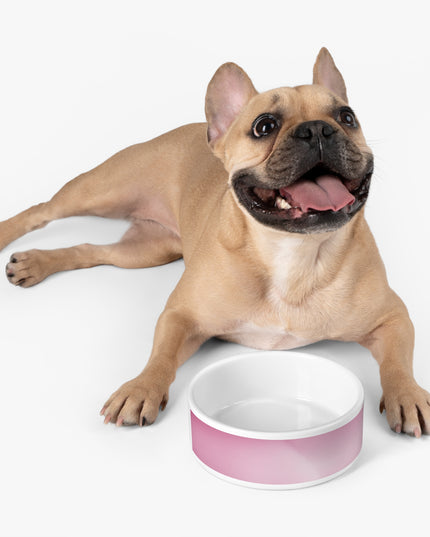Pink Blush Fade 16 oz Pet Bowl
