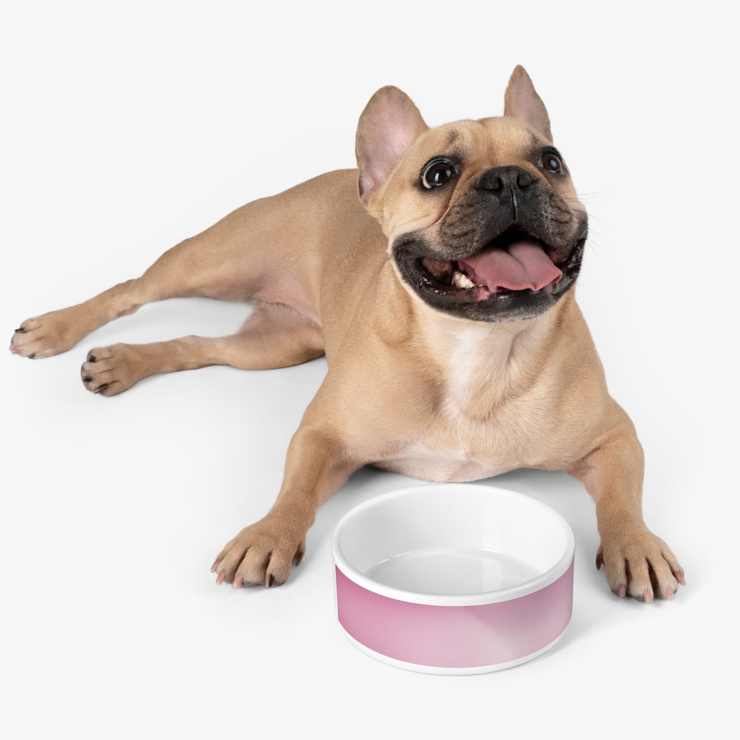 Pink Blush Fade 16 oz Pet Bowl
