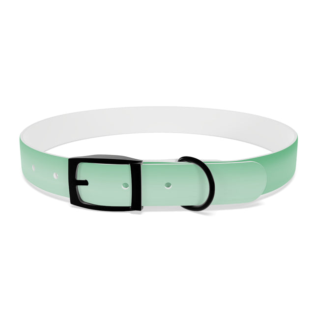 Mint Fade Extra Large Dog Collar