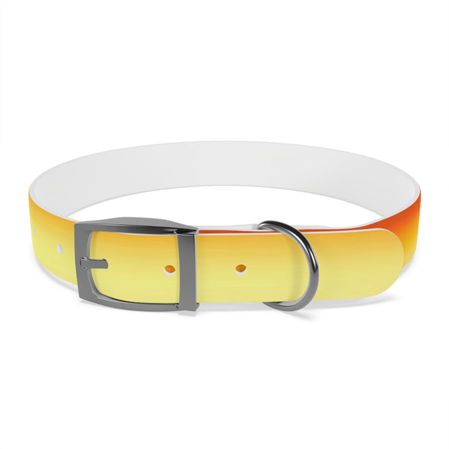 Phoenix Fade Large Dog Collar