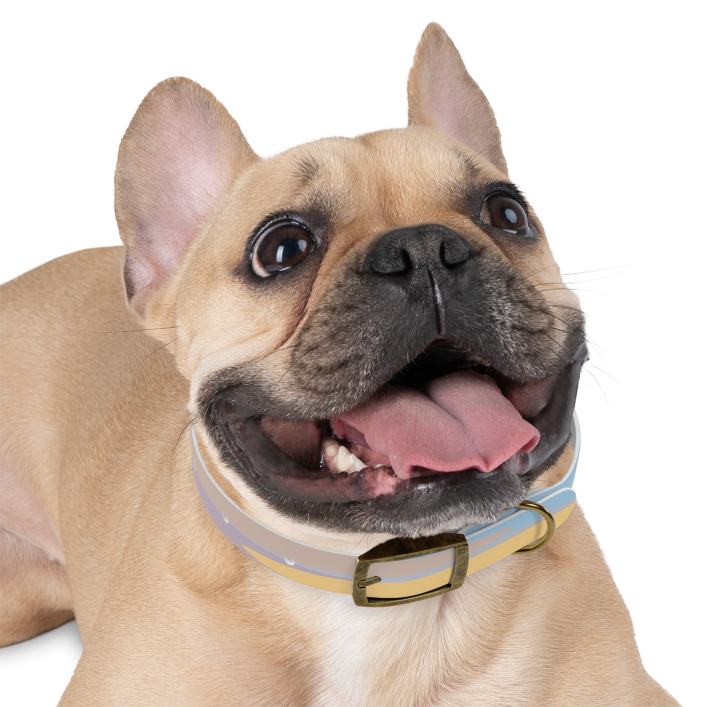 Pastel Baby Blue and Peach Patches Small Dog Collar