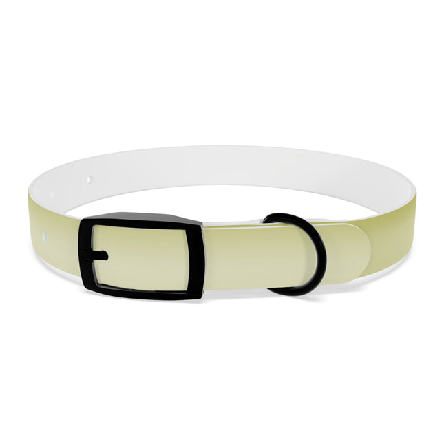 Lemon Fade Small Dog Collar