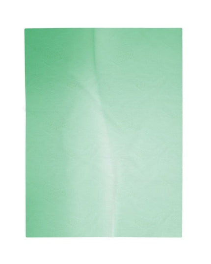 Mint Fade Velveteen Plush Blanket, 30" x 40"