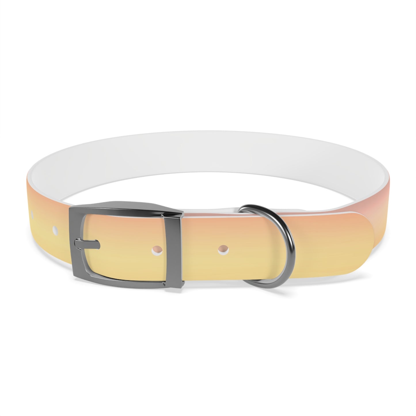 Hot Peach Fade Large Dog Collar