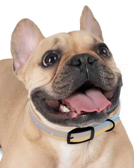 Pastel Baby Blue and Peach Patches Small Dog Collar