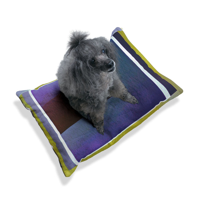 Zeta Shadow 28" × 18" Pet Bed